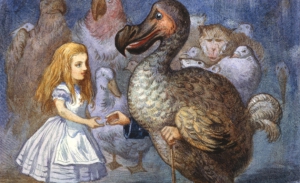 pajaro_dodo